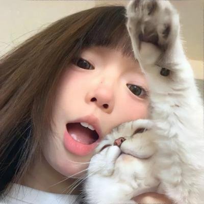 假发大作战